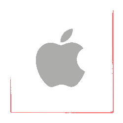 Strong Network, Strong Careers